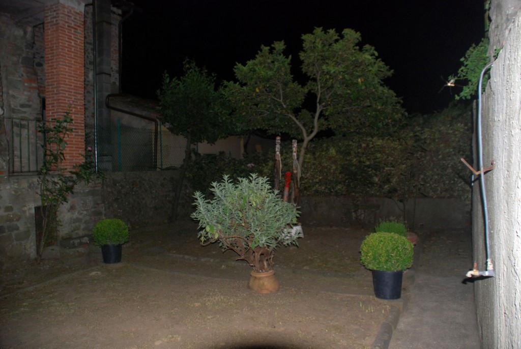Filippo Biagioli giardino notturna Per Giorgio arte internazionale a Massa pt